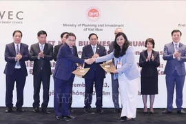Vietnam por movilizar recursos internacionales para transformación verde