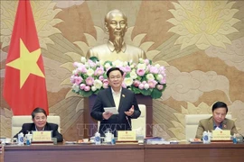 Proyecto de Ley de Tierras de Vietnam recibe valiosas opiniones públicas