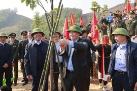 Lanzan Festivales de Emulación y de Plantación de Árboles en Tuyen Quang