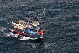Instan a implementar medidas drásticas contra pesca ilegal 