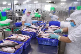 Emiratos Árabes Unidos busca firmar acuerdo de asociación económica integral con Vietnam