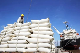 Precios de arroz vietnamita de exportación se mantienen en nivel más alto del mundo