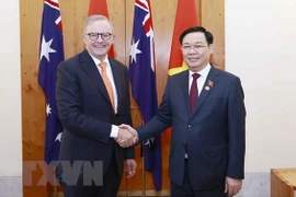 Experto aprecia nexos de asociación estratégica entre Vietnam y Australia