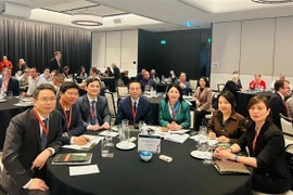 Vietnam asiste a reunión internacional sobre auditoría de desempeño