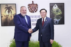 Titular parlamentario de Vietnam dialoga con primer ministro cubano