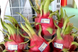 Vietnam presenta en la India productos agrícolas destacados