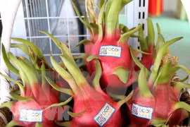 Vietnam presenta en la India productos agrícolas destacados