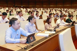 Evalúa Parlamento vietnamita uso de recursos para lucha contra COVID-19