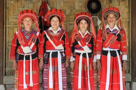Brocado de los pa then: particularidad cultural de minorías étnicas de Vietnam
