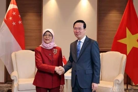 Vietnam y Singapur buscan llevar su asociación estratégica a un nuevo nivel