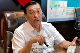 Indonesia propondrá un TLC limitado con EE.UU. sobre minerales