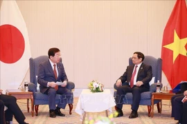 Abogan por intensificar relaciones entre parlamentos de Vietnam y Japón