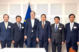 UE reconoce avances de Vietnam en proceso de transición verde