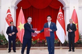 Vietnam-Singapur: Medio siglo de una asociación confiable y sostenible