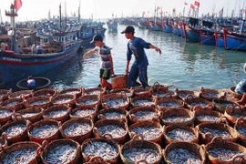 Tien Giang cumple bien recomendaciones sobre prevención de pesca ilegal