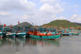 Vietnam emite Plan de acción para combatir pesca ilegal