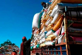 Indonesia importará dos millones de toneladas de arroz para fin de año