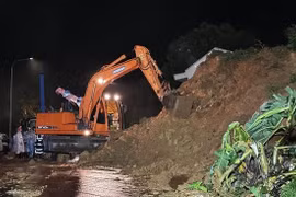 Instan a remediar consecuencias por deslizamientos de tierra en Lam Dong