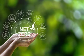 Oportunidades y desafíos para Vietnam en camino hacia el cero neto
