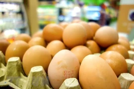 Indonesia exportará huevos a Singapur