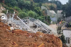 Grave deslizamiento de tierra en Da Lat: Inician proceso legal