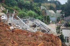 Grave deslizamiento de tierra en Da Lat: Inician proceso legal