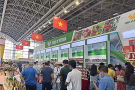 Participarán 100 empresas vietnamitas en feria internacional en Guangzhou (China)