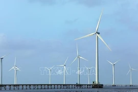Transición a energías limpias garantizará biodiversidad de Vietnam