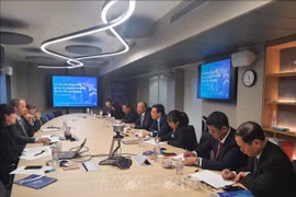 Vietnam y Francia intercambian experiencias contra corrupción