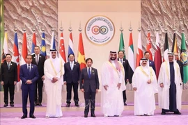 Vietnam propone soluciones para fortalecer relaciones ASEAN - CCG