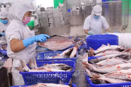 Disminuyen exportaciones de productos acuáticos de Vietnam