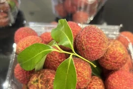 Lichi vietnamita sin semillas se vende en el Reino Unido