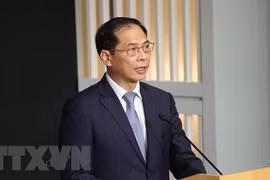 Vietnam asiste a reunión preparatoria de la Cumbre del Futuro