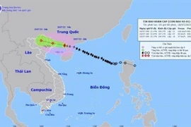 Tifón Talim se acerca a ciudad vietnamita de Mong Cai