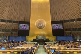 Vietnam contribuye activamente a actividades del OIEA