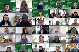 Taller de la ASEAN analiza la descarbonización para sectores agrícola y forestal