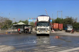 Vietnam previene comercio y transporte ilegales de aves de corral a través de fronteras nacionales