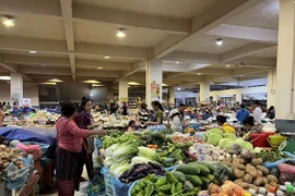Laos apunta a un crecimiento económico del 4,5% en 2024