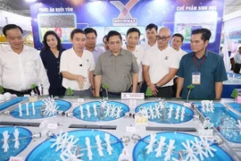 Premier insta a provincia de Ca Mau a desarrollar potenciales económicos