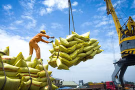 Vietnam se esfuerza por crear entorno transparente y abierto para exporación de arroz