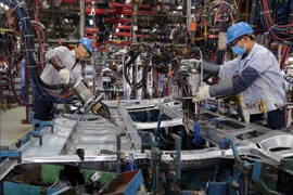Inversión de Vietnam en el extranjero alcanza 244,8 millones de dólares