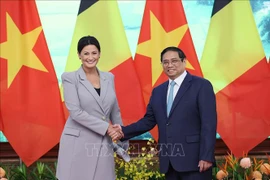 Vietnam atesora relaciones con Bélgica, afirma premier