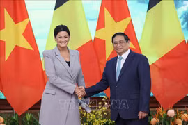 Vietnam atesora relaciones con Bélgica, afirma premier