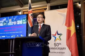 Buscan Vietnam y Australia fomentar aún más nexos cooperativos