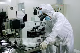 Vietnam considerado estrella en ascenso para convertirse en mercado emergente