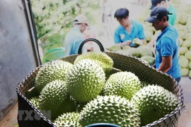 Resaltan oportunidades para agilizar lazos multifacéticos Vietnam- China