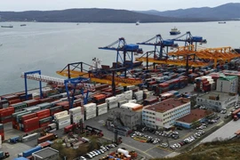 Vietnam tiene perspectivas de cooperación con región rusa de Krai de Primorie