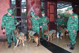 Vietnam envía oficiales para apoyar recuperación de Turquía tras terremotos