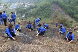 Mejoran conciencia de jóvenes vietnamitas sobre protección ambiental