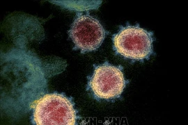 Vietnam registra subvariante XBB de Ómicron